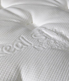 Back Supporter Plush