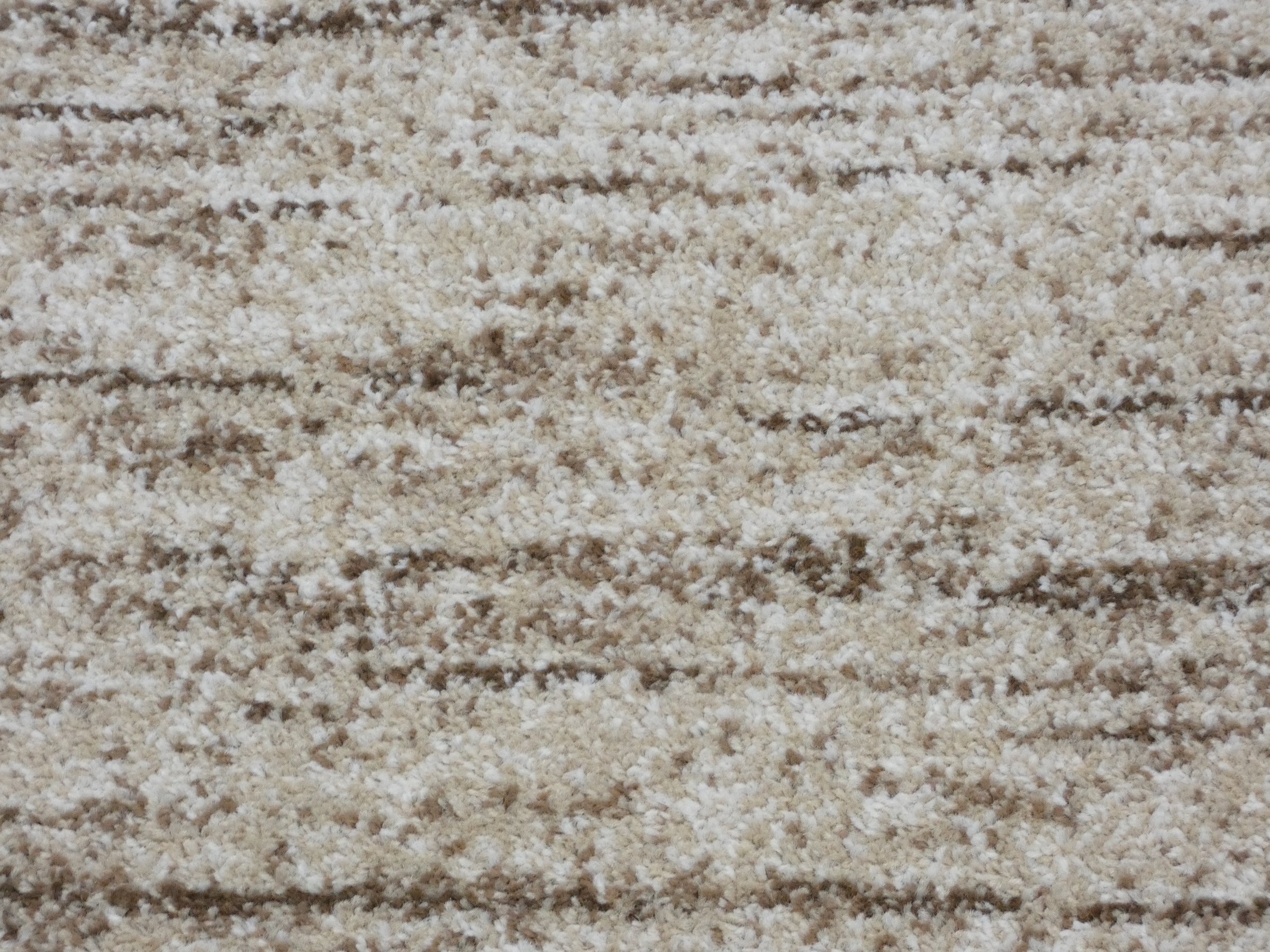 Border Design Hallway Runner Beige Colour Size: 67cm x Cut to Order