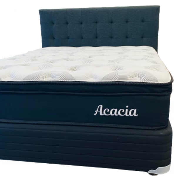 Acacia