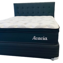 Acacia